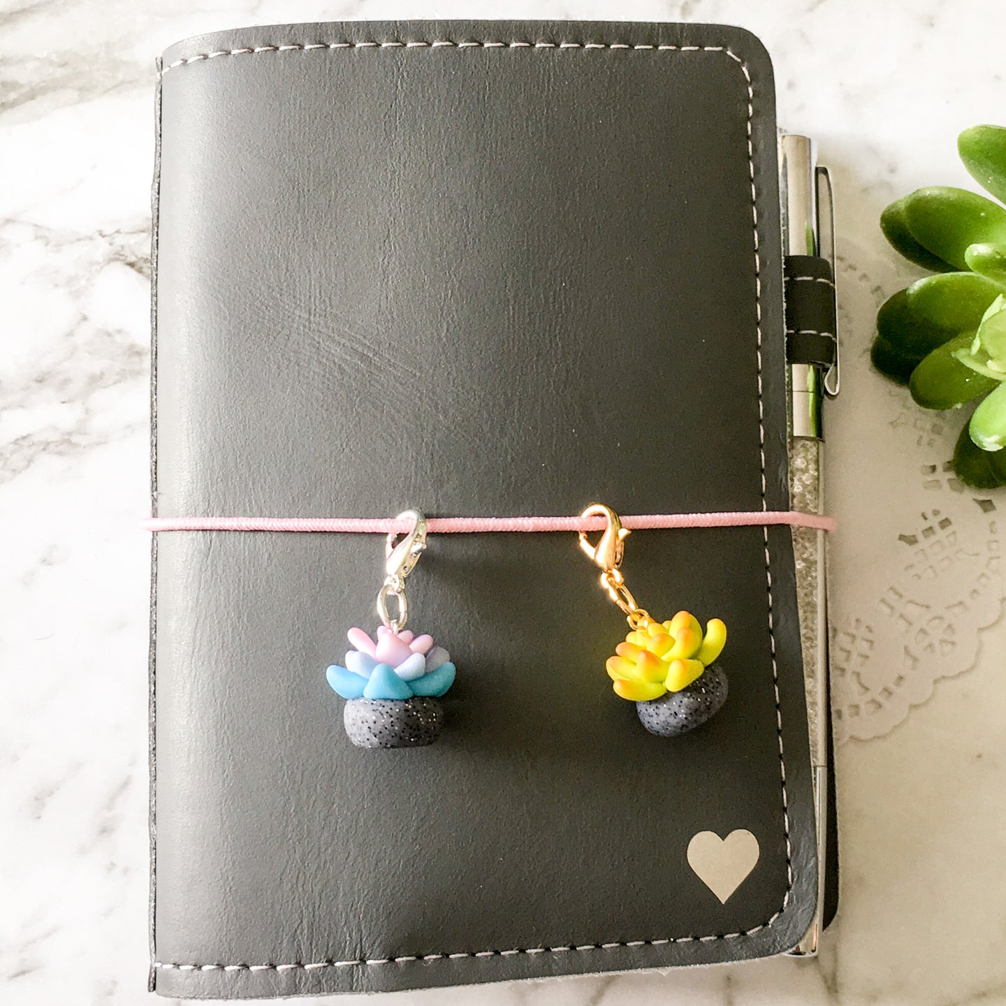 Petite Succulent Travellers Notebook